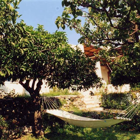 בית נופש Paradise House In Fruit Garden