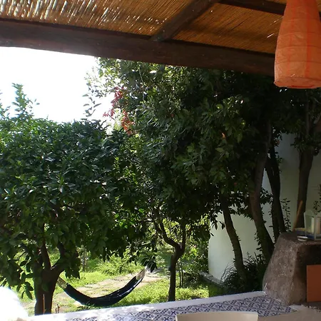 Paradise House In Fruit Garden בית נופש